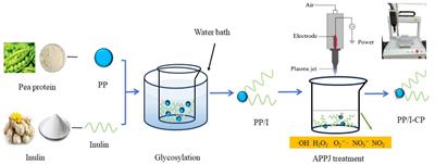 Pea protein-inulin conjugate prepared by atmospheric pressure plasma jet combined with glycosylation: structure and emulsifying properties